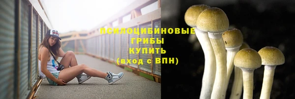 прущая мука Пестово