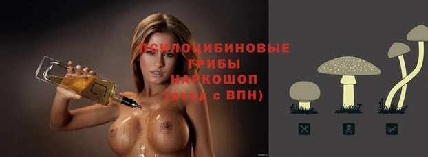 твердый Алексеевка