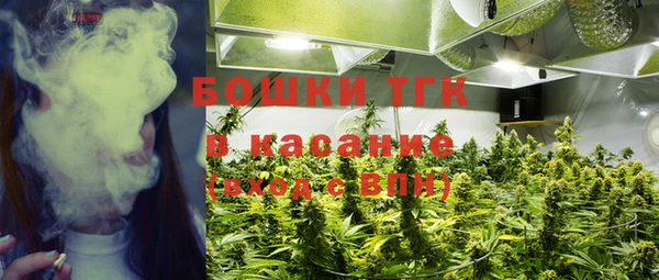 шишки Алексин
