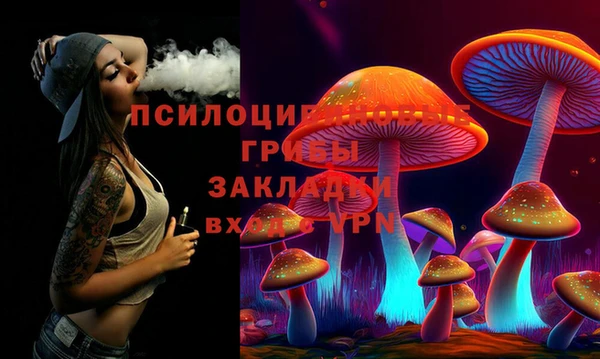 твердый Алексеевка