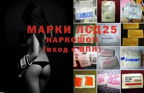гидропоника Пересвет