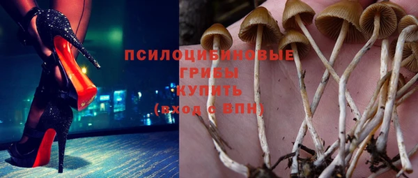 шишки Алексин