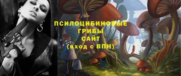 твердый Алексеевка