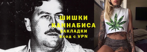 шишки Переславль-Залесский